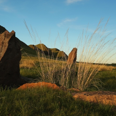 План по утверждению охранных обязательств на 2026 год